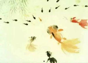 蝌蚪网国产,蝌蚪网引领绿色科技新潮流  第2张