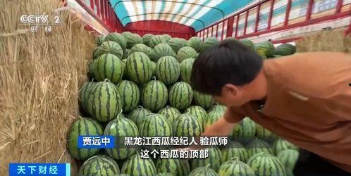 西藏扎西枫丹娱乐吃瓜,吃瓜群众眼中的神秘娱乐王国